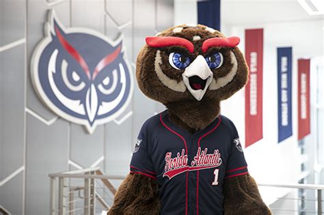 Fau Owls In The Outfield