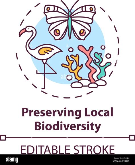 Preserving Local Biodiversity Concept Icon Stock Vector Image And Art Alamy