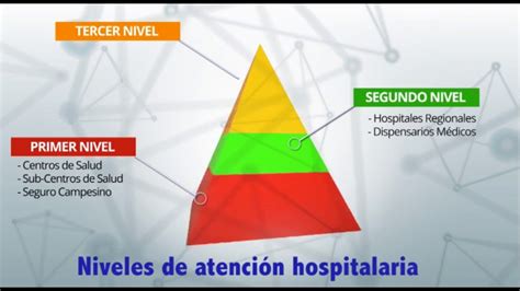 Niveles de atención de salud YouTube