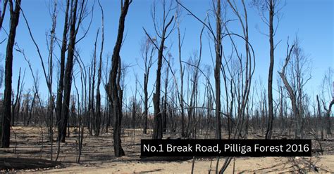 The Pilliga – Big Fire County – Sydney Knitting Nannas and Friends