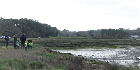 Parc Naturel R Gional Du Golfe Du Morbihan La D Couverte Des