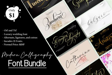 The Best Graphics, Design, Embroidery & Font Bundles - Creative Fabrica