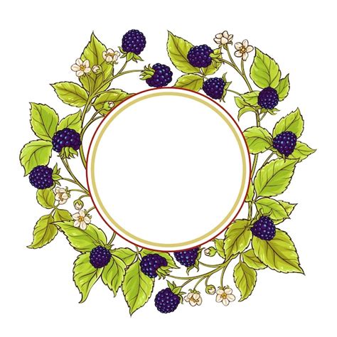 Premium Vector Blackberry Branches Vector Frame On White Background