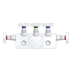 As Schneider Valve Manifolds W Ga Type