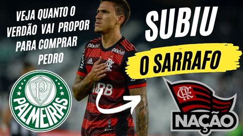 Palmeiras Vai Aumentar A Proposta Por Pedro Do Flamengo Youtube