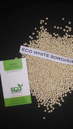 Dried Sorghum Seed Supplier Packaging Type PP Bag Packaging Size 25