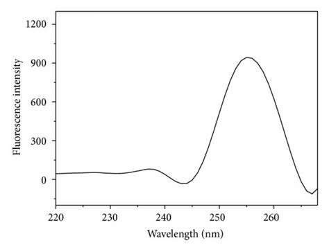 Fluorescence Excitation Spectrum Of Fused Silica Irradiated In Vacuum