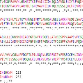 Sequence Alignment Between The Target Protein SIK2 And The Template