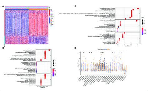 Generation Of Immunogenic Gene Subtypes A Unsupervised Clustering Download Scientific