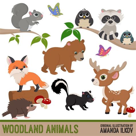 Premium Woodland Animal Clip Art Woodland Animal Vectors