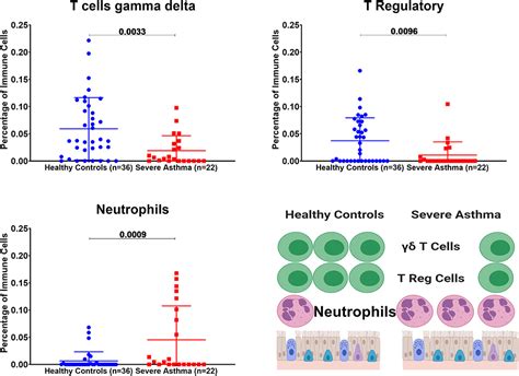 Frontiers Blood And Salivary Amphiregulin Levels As Biomarkers For Asthma