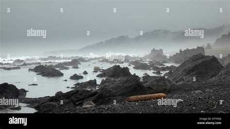 Lost Coast near Lituya Bay, Glacier Bay National Park, Alaska Stock ...