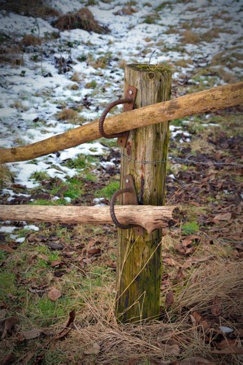 Free Images Nature Forest Branch Structure Board Grain Sunlight