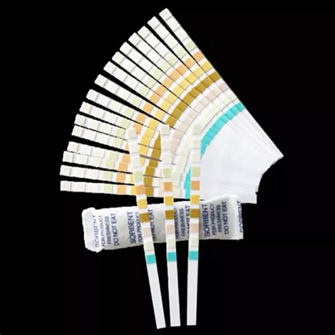 Urs T Strips Urinalysis Reagent Test Paper Parameters Urine