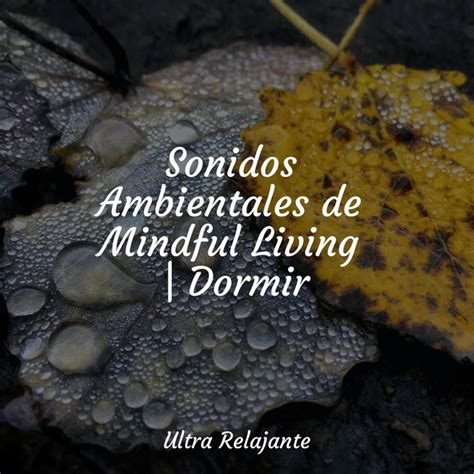 Sonidos Ambientales De Mindful Living Dormir Album By Musica