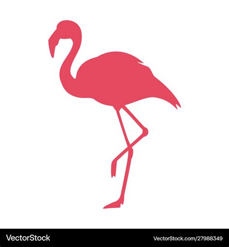 Vector Flamingo Svg Minevr