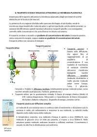 Riassunto Psicobiologia Il Trasporto Di Ioni Docsity