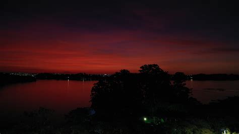 Silhouette Of Trees During Sunset · Free Stock Photo