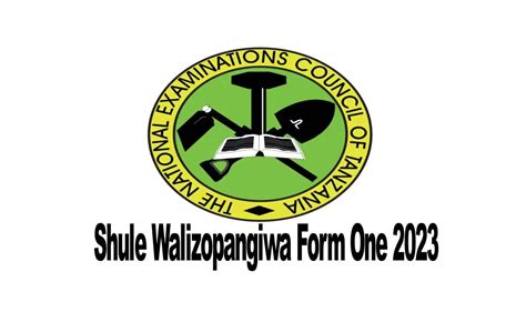 TAZAMA HAPA Shule Walizopangiwa Darasa La Saba 2023 Nyimbo Kali