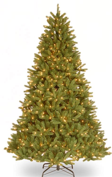 National Tree Company 75 Ft Grande Fir Tree With Multicolor Lights Wayfair