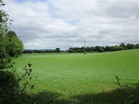 Grass Field With Electricity Pole Jonathan Thacker Cc By Sa