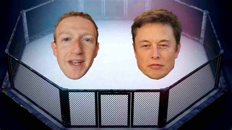 Scontro Musk Vs Zuckerberg Ci Sarà Incontro In Diretta Mondiale Younipa Università Lavoro