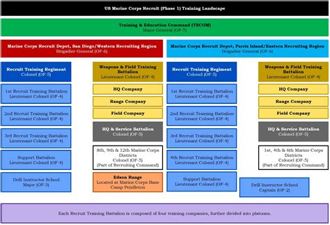 Usmc Boot Camp Phases