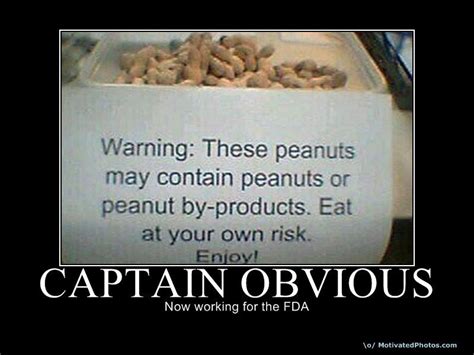 [Image - 49253] | Captain Obvious | Know Your Meme