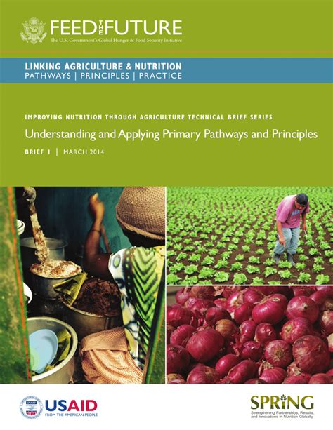 (PDF) Improving Nutrition through Agriculture Technical Brief Series ... 