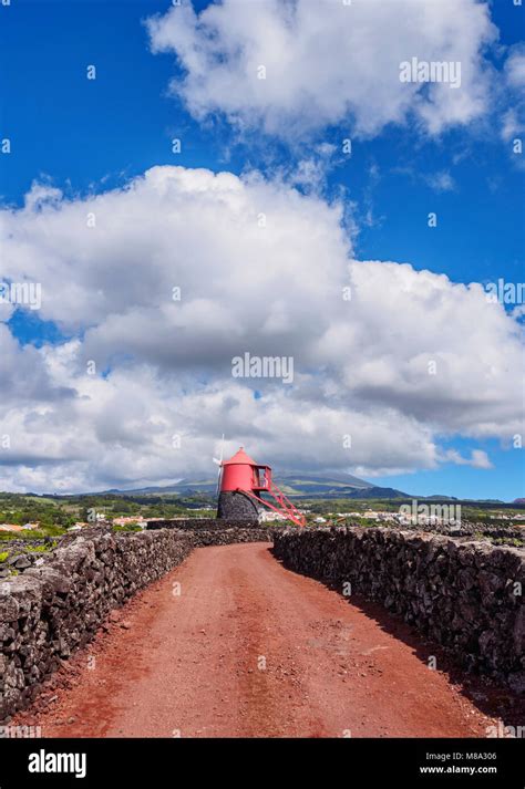 Traditional Windmill And Vineyards Criacao Velha Unesco World