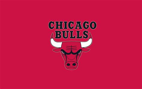 [100+] Bulls Logo Wallpapers | Wallpapers.com