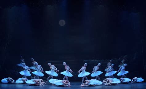 Swan Lake English National Ballet London Coliseum Review A Solid