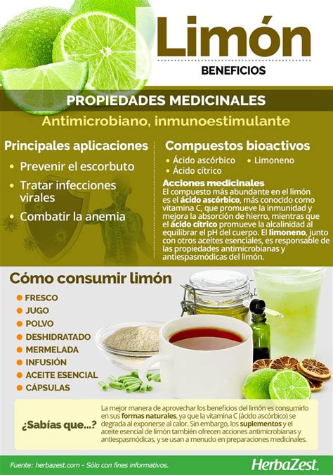 Limón Herbazest Frutas Y Verduras Beneficios Nutrición Medicina