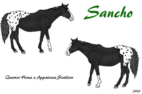 Sancho By Mariah122 On Deviantart