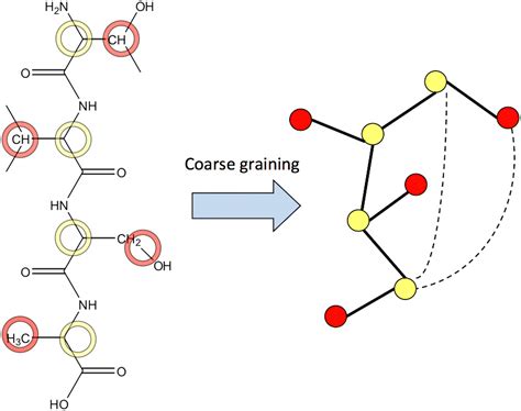 Toward Accurate Coarse Graining Approaches For Protein And Membrane