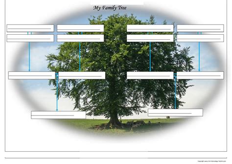 30 Free Genogram Templates & Symbols - Template Lab