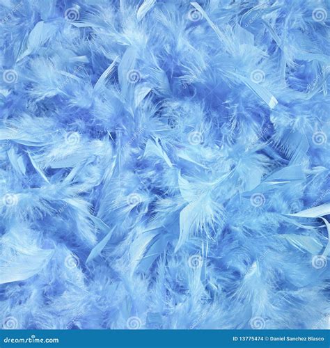 Feathers Abstract Stock Photo Image Of Group Soft Detail