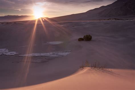 First Light – SHELLEY CARLISLE ARTIST