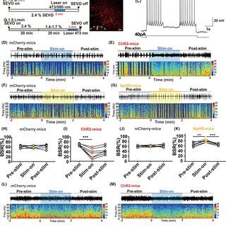 Optogenetic Activation Of Orexinergic Terminals In The LHb Induced