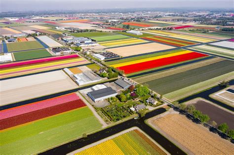 Helicopter tour above the tulip fields at Keukenhof near Amsterdam