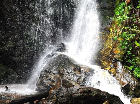 Olumirin Waterfall - Erin Ijesha (pictures) - Travel - Nigeria