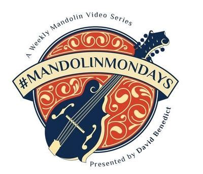 Mandolin Lessons & Courses Online | Beginner to Advanced