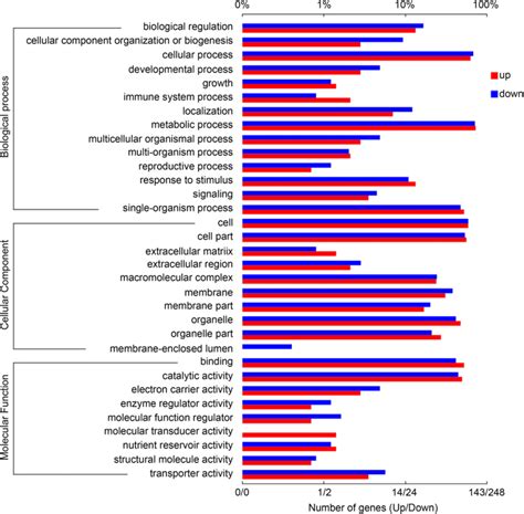 Histogram Presentation Of The Gene Ontology Go Classifications Of The