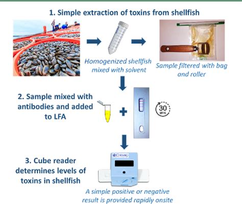 Multiplex Lateral Flow Assay And The Sample Preparation Method For The