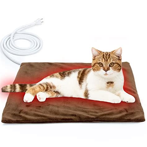 The Best Heating Pads For Cats CatTime