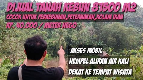 Dijual Tanah Kebun Untuk Agrowisata Luas M Akses Mobil Nempel