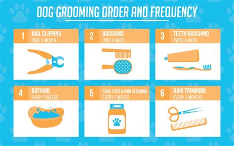 31 Dog Grooming Styles and Trims - Pet Care Stores