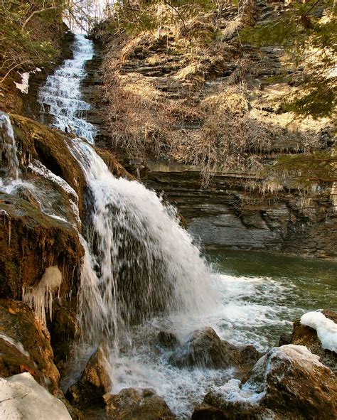 Owen D Young Nature Trail Flickr