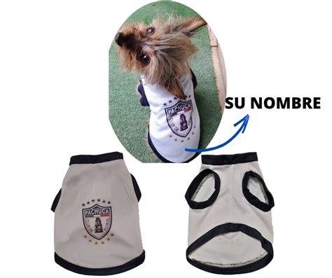 Moldes En Pdf O Papel Para Ropa De Perros Y Gatos Patrones De Costura