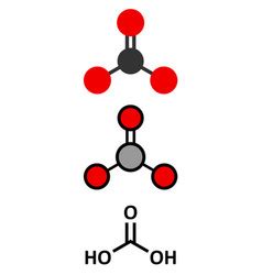 Carbonic Acid Molecule Formed When Carbon Dioxide Vector Image